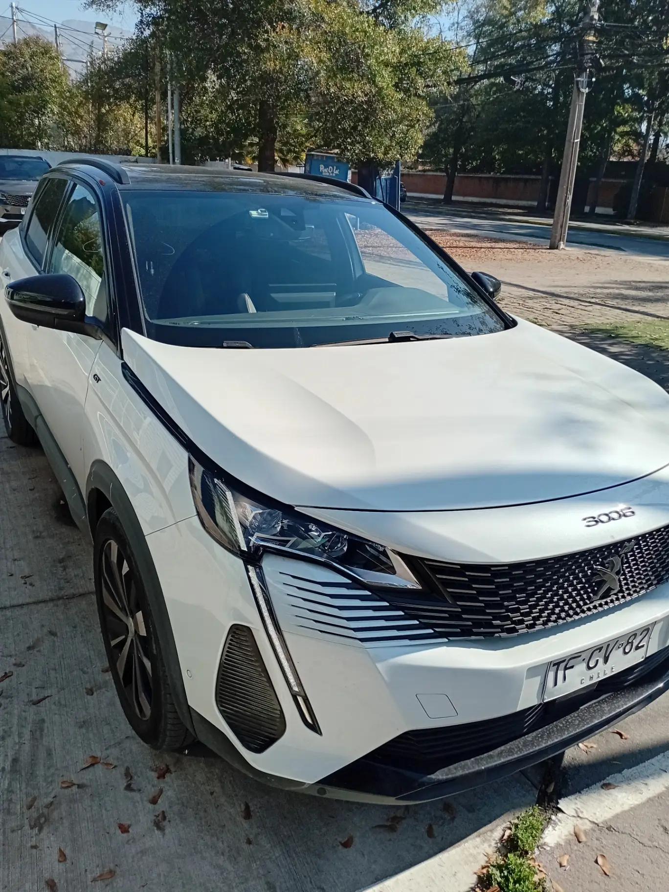 Station Wagon Peugeot 3008