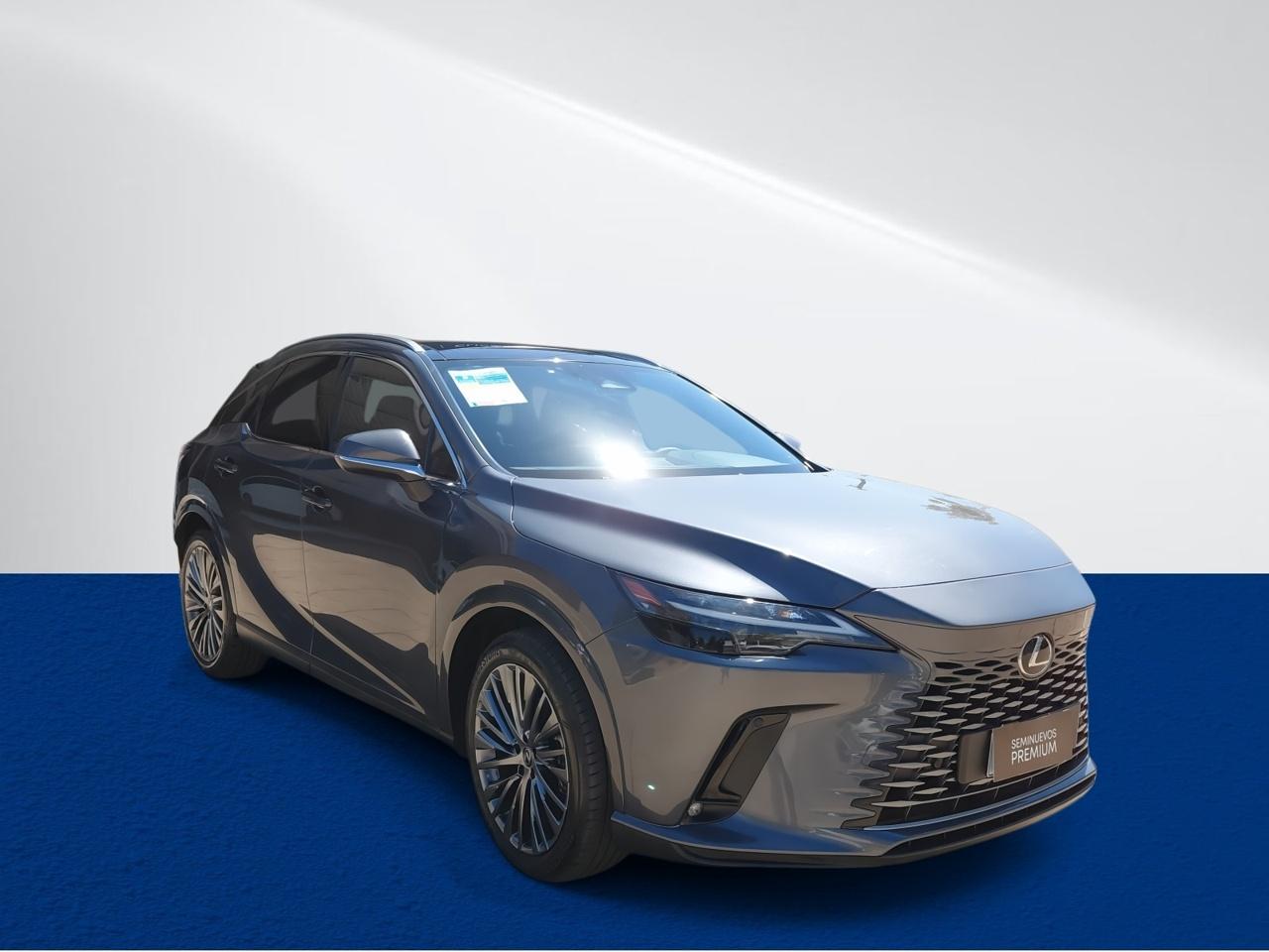 Station Wagon Lexus Rx