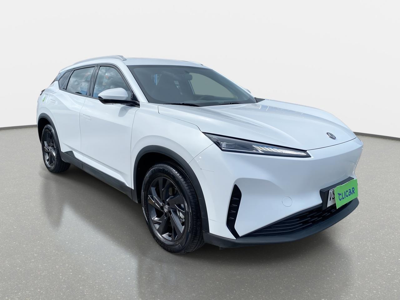 Station Wagon Dongfeng Mage